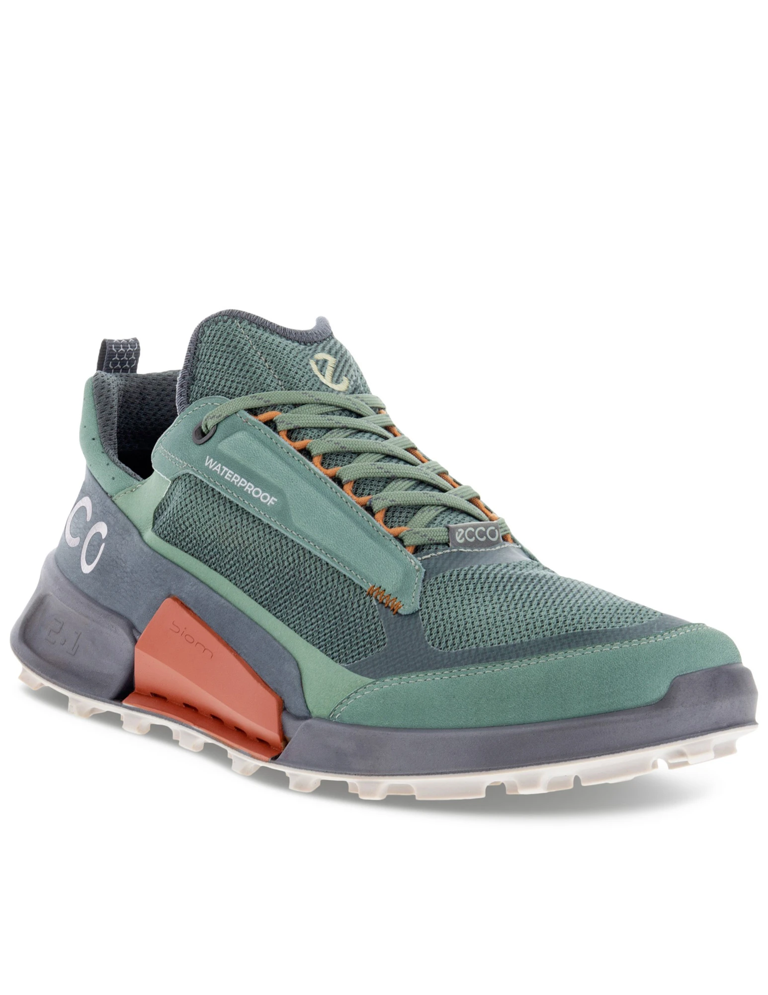 BIOM 2.1 X Mountain M