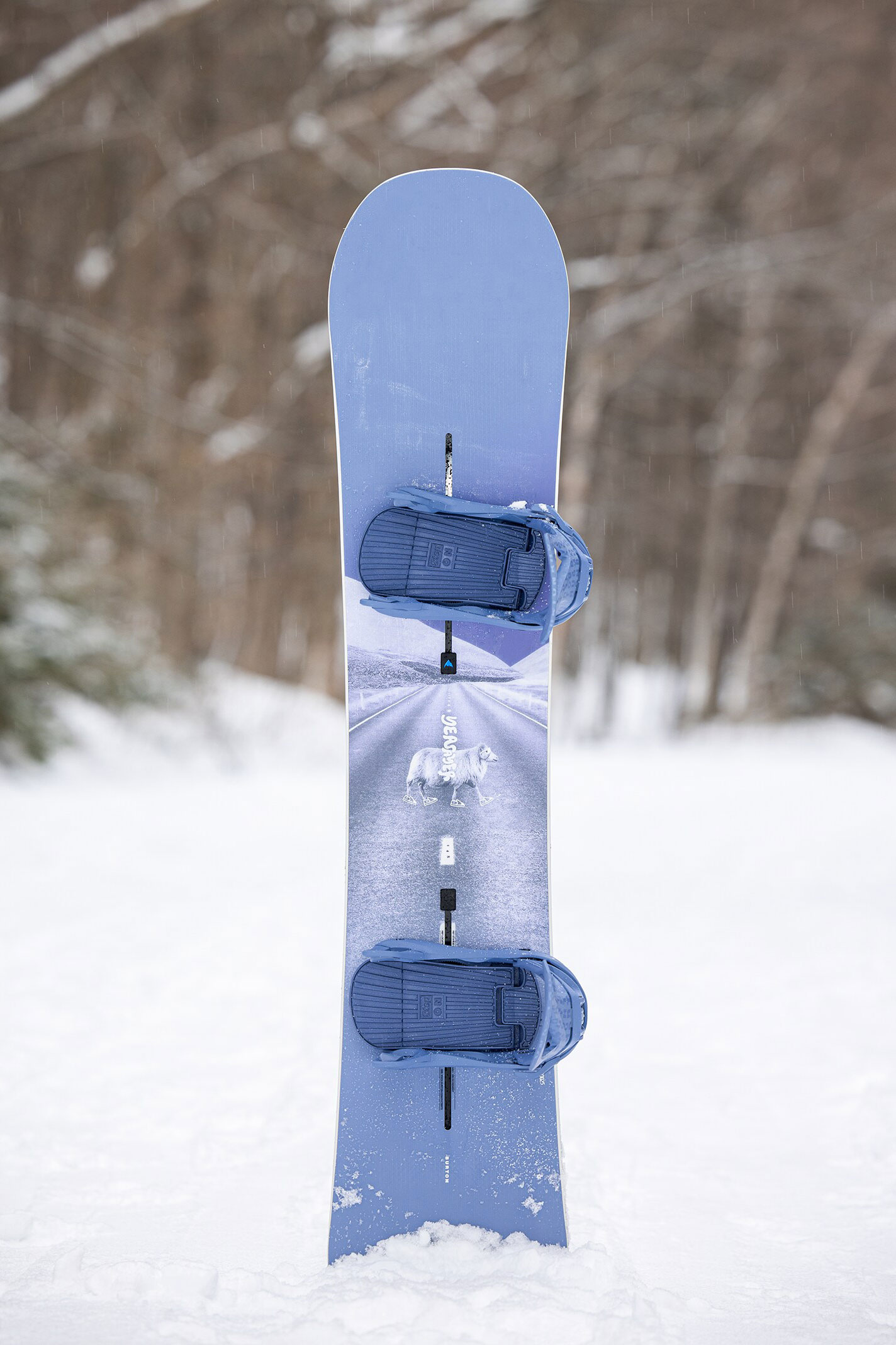 Women's Yeasayer Camber