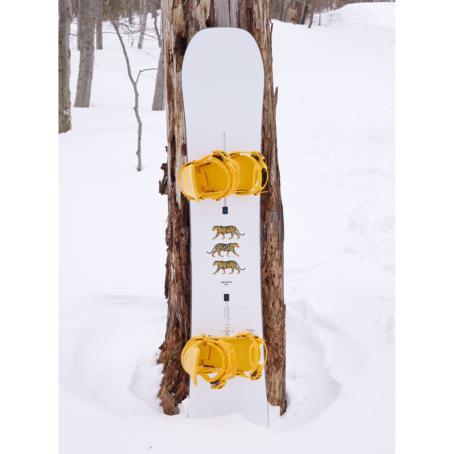 Men's Process Camber